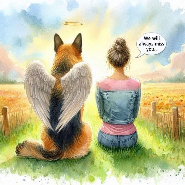 Animal Communication