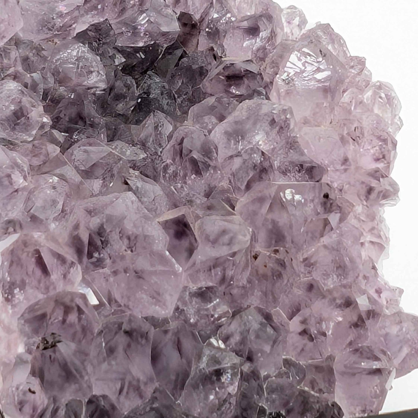 Violet Peak Amethyst spire specimen on a dark artisan wooden base