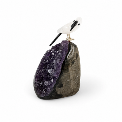 Close-up of violet amethyst crystal points beneath the carved parrot companion