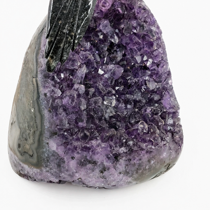 Amethyst cluster base with deep violet crystal points and carved parrot detail