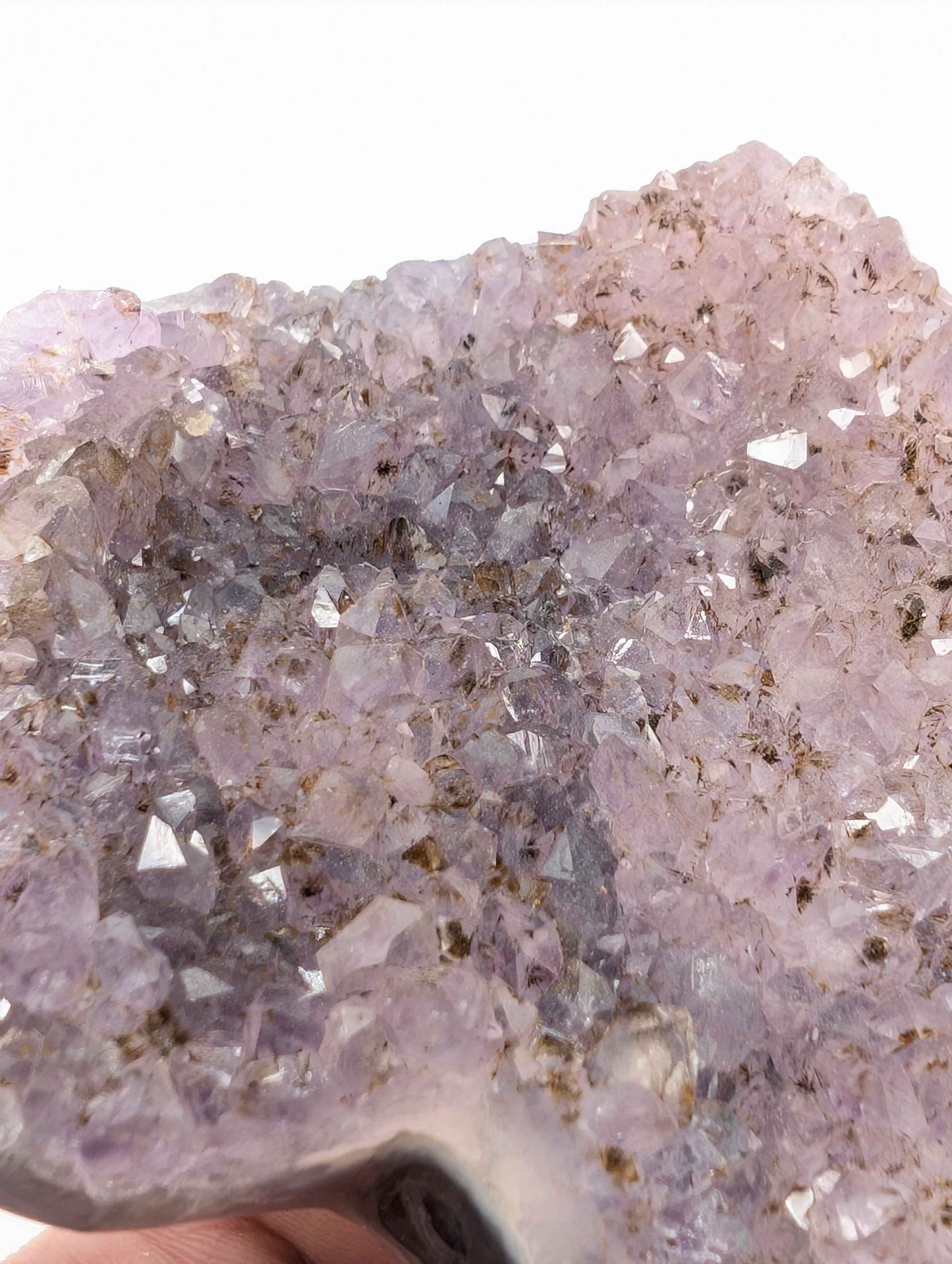 Side view of gradient amethyst cluster showing full colour transition and height