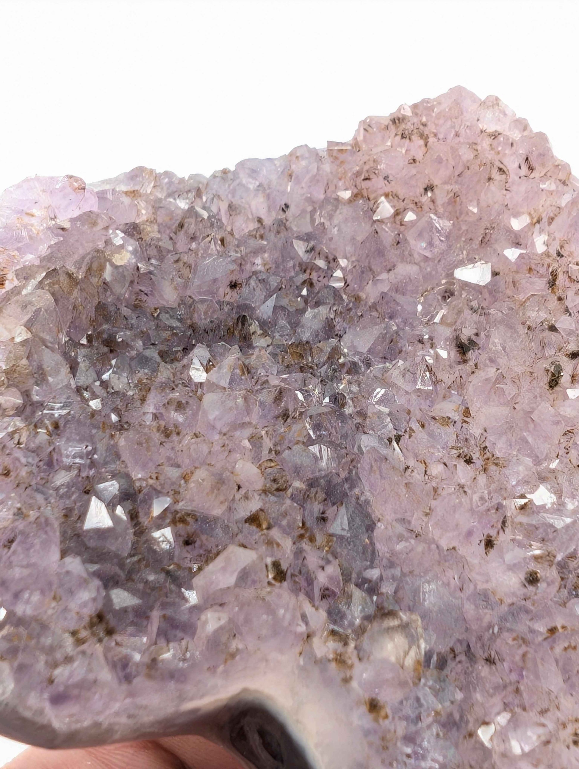 Side view of gradient amethyst cluster showing full colour transition and height