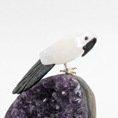 Amethyst Parrot Specimen displayed on a shelf as a home decor crystal piece